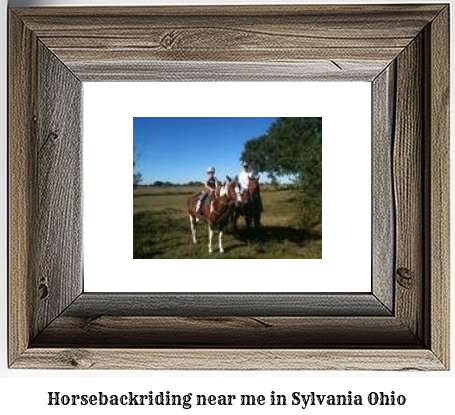 horseback riding near me in Sylvania, Ohio